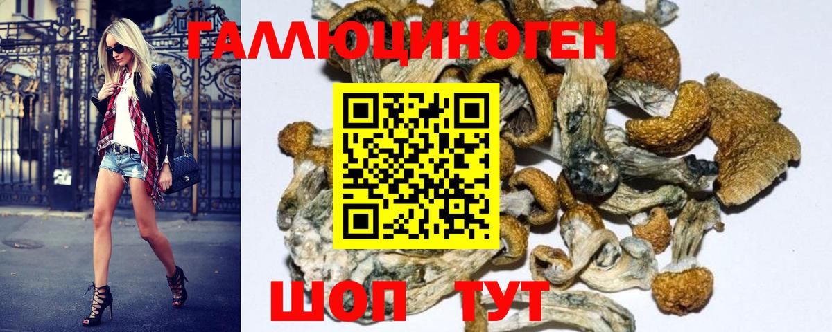 Серов  Псилоцибиновые грибы MAGIC MUSHROOMS  где можно купить   Галлюциногенные грибы прущие грибы  Вход с VPN 
